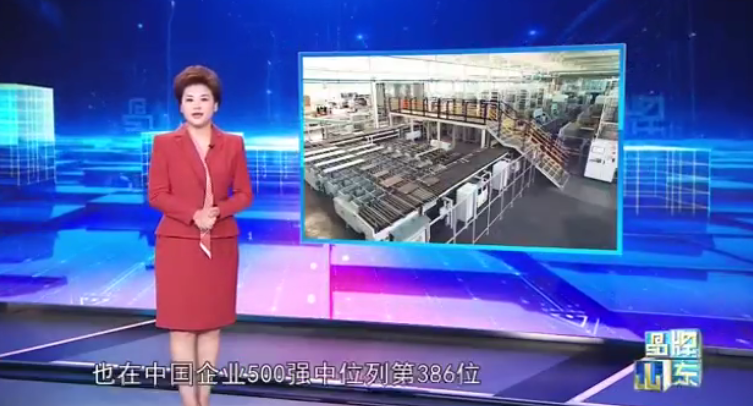 《品牌山東》走進魯麗家居和魯麗木業