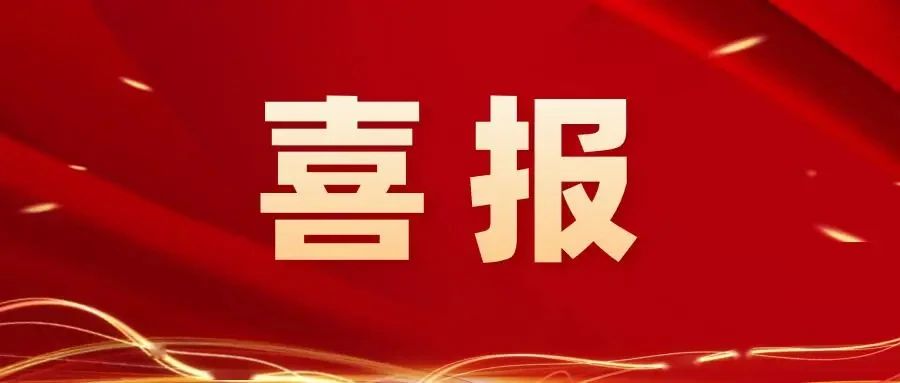 喜報丨壽光市魯麗木業(yè)股份有限公司入選“2024年山東省管理標(biāo)桿企業(yè)”